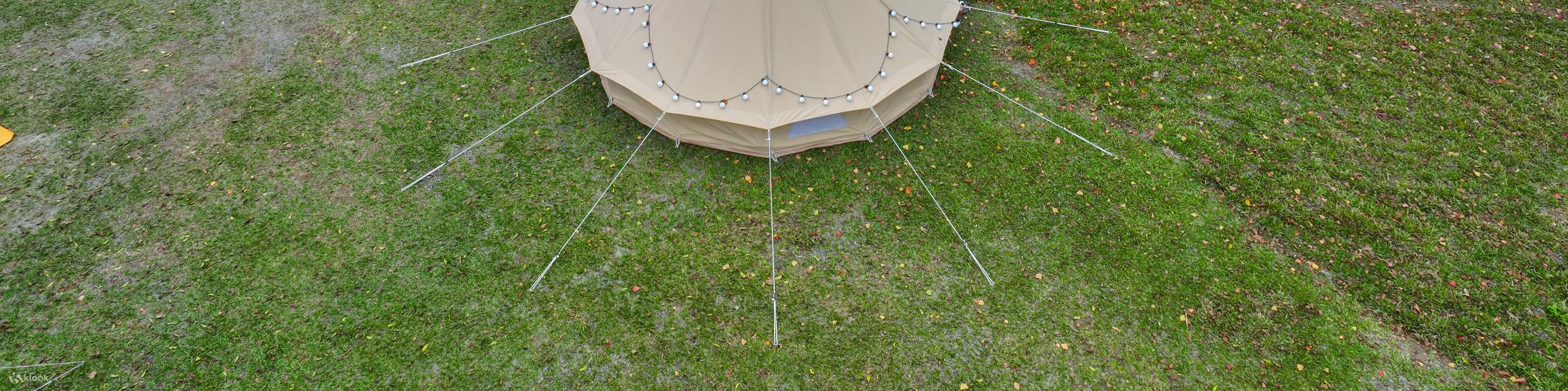 황금 계단식 논